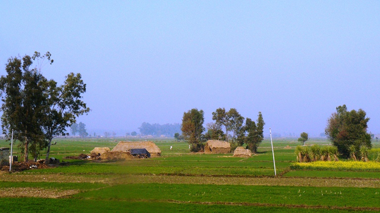 Rural India